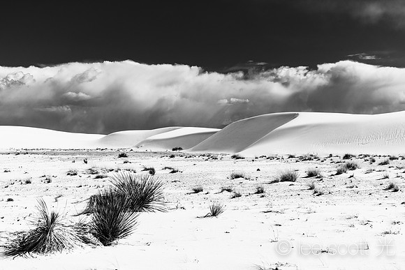 Rolling White Dunes