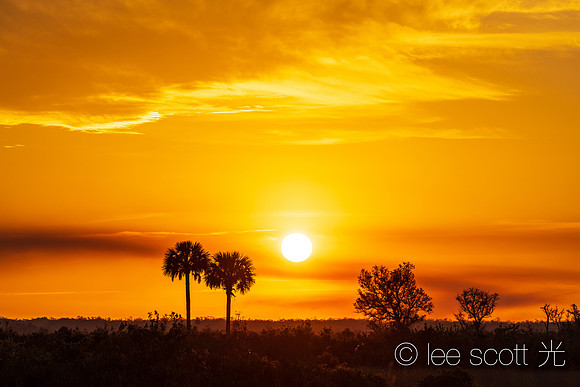 Sun Set in Big Cypress National Preserve