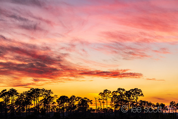 Sky over Big Cypress Canopy