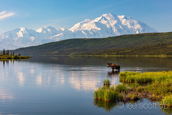 The Mountain and the Moose
