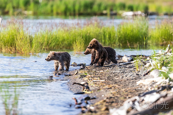 Spring Cubs Play
