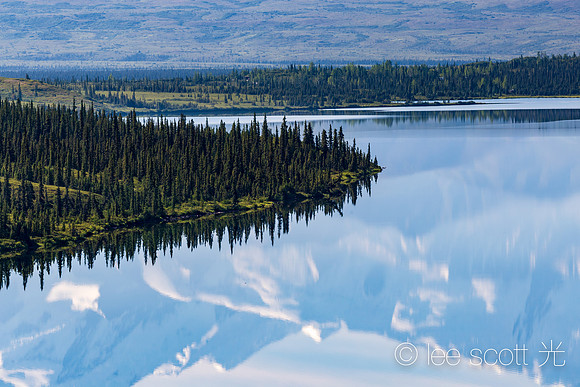 Denali's Vast Wilderness