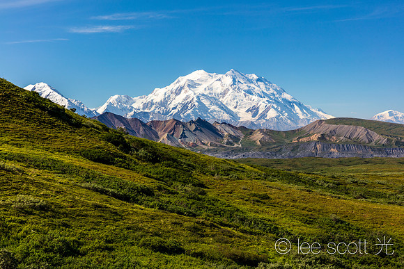 Late Summer in Denali
