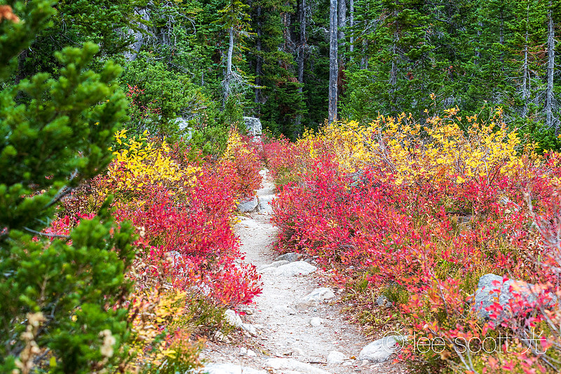 Teton Crest Trail