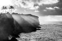 Morning Light and Salty Air