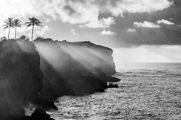 Morning Light and Salty Air