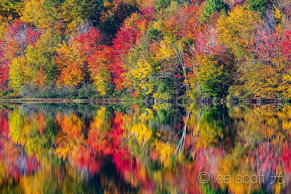 Leaf Peeping