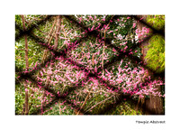 Temple Abstract