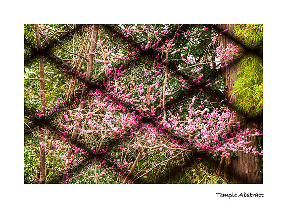 Temple Abstract