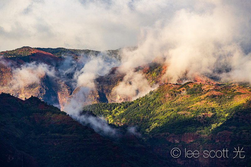 A Landscape Revealed