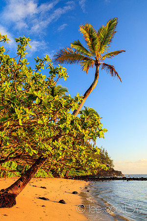 Hanalei Bay