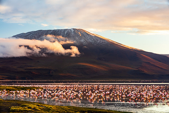 The Eduardo Avaroa Andean Fauna National Reserve