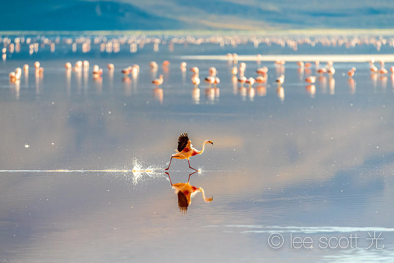 Walk on Water