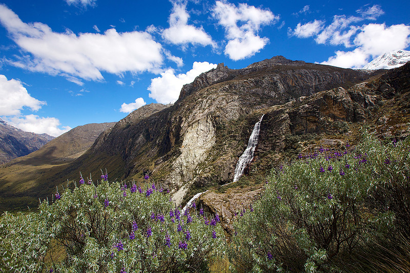 laguna 69 trail