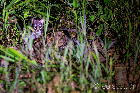 Hiding or Waiting? I jusst Don't Know