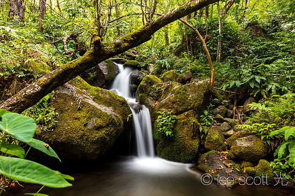 One of the Many Little Falls of Hanakoa