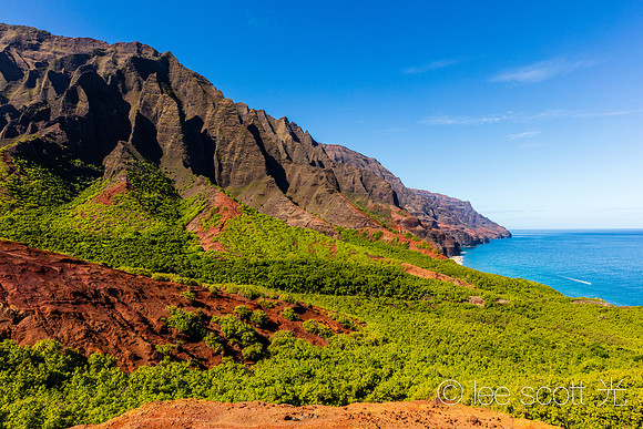 Red Hill View
