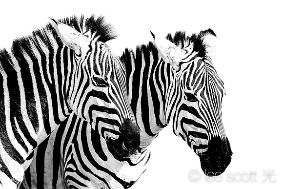 Seeing Double