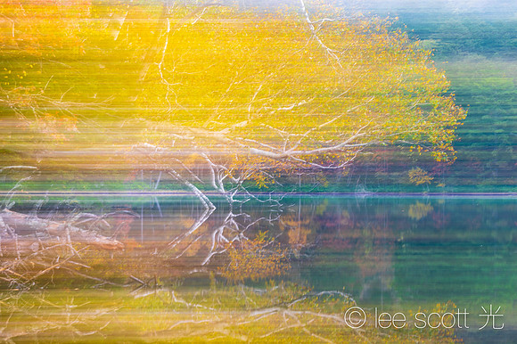 A Blur of Color in the Fall