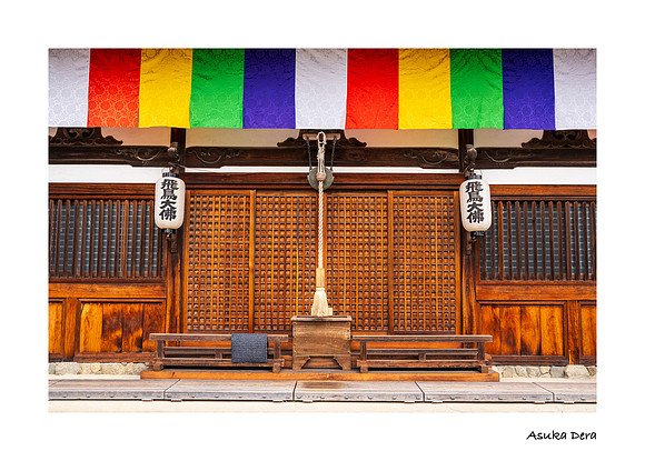 Hasedera