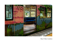 Blue Train Cusion