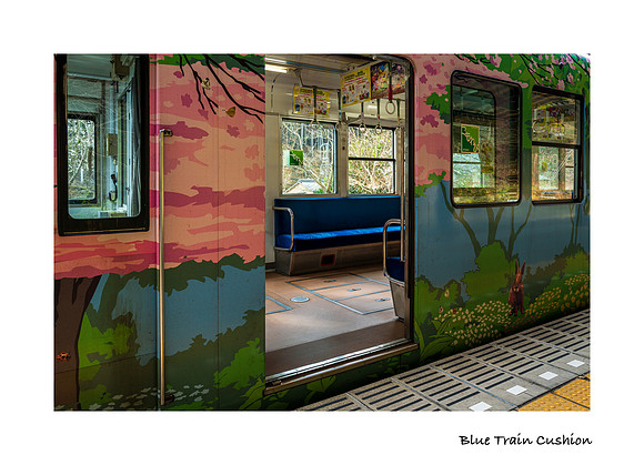 Blue Train Cusion
