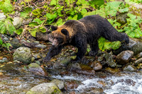 Hokkaido: The Wild Japan