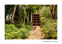 Temple Steps