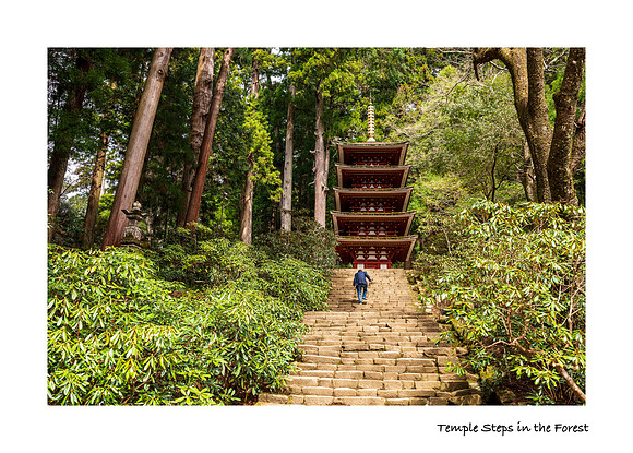 Temple Steps
