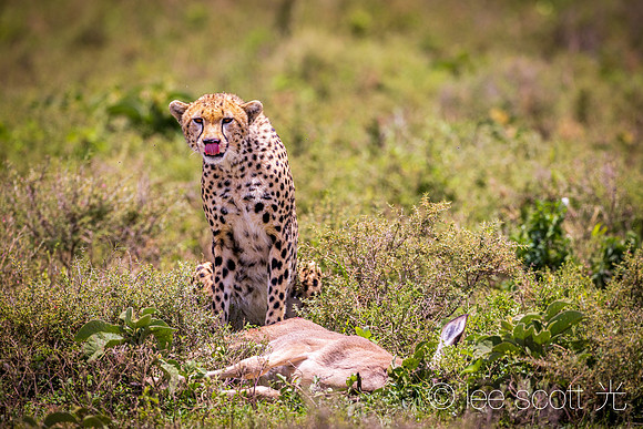 A Cautious Hunger