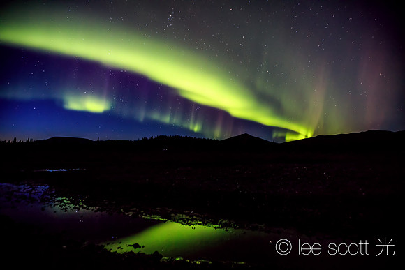Aurora