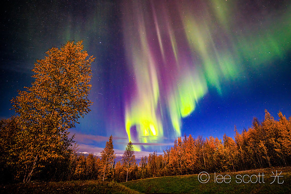 Light Show at the Arctic Circle
