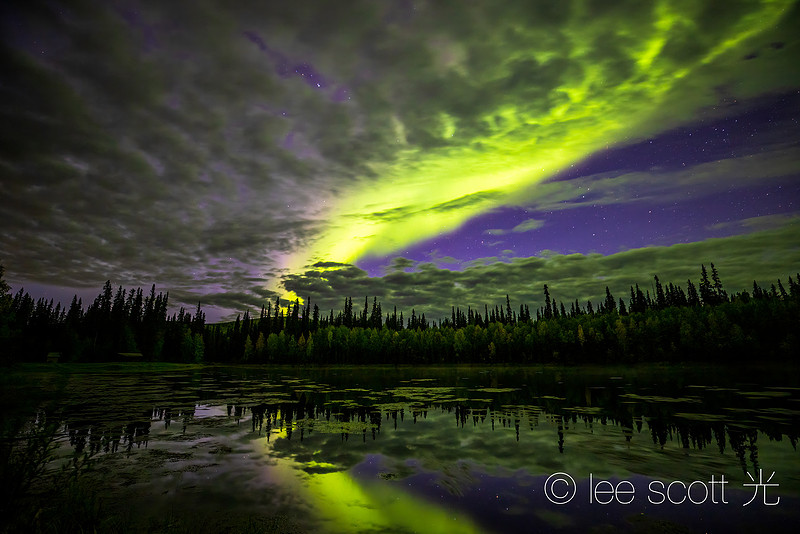 Clouds Can't Hold the Light of the Aurora