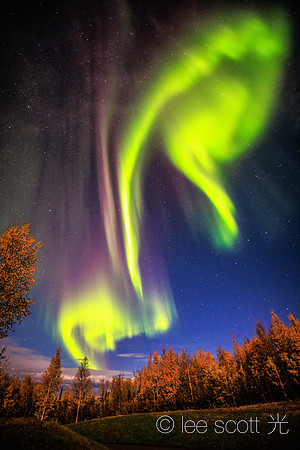 Spools of Joyous Light